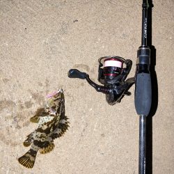 爆風ライトゲーム