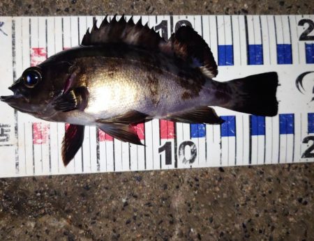 活性は高くない。