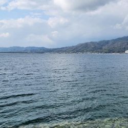 今日も何とか釣れた