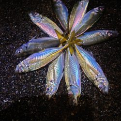 調子こきました。