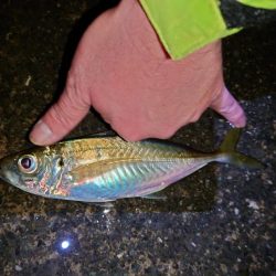 爆風からの吹雪