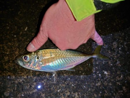 爆風からの吹雪