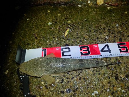 2024ファーストフィッシュ