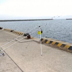 都志港の投げ釣り