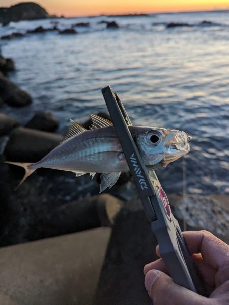 陸っぱり釣行記