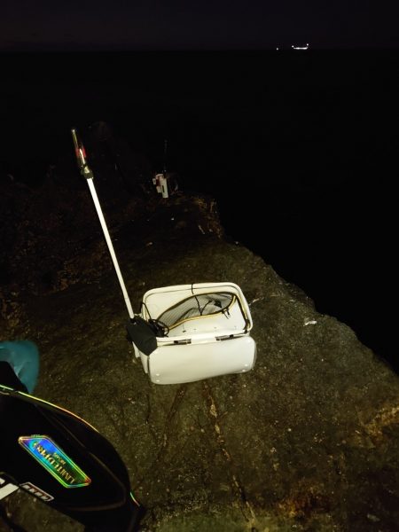 樫野でグレ釣り