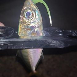 やっぱり納得がいかないよね。