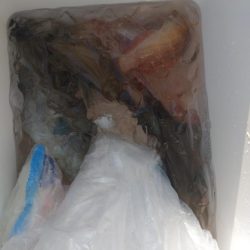 今年最初の船釣りウマズラリベンジ便！！