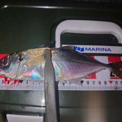 ライトゲーム🎣