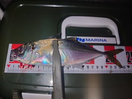 ライトゲーム🎣