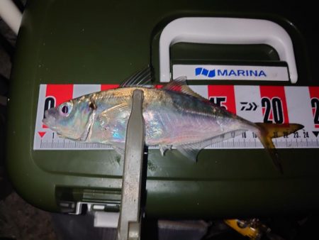 ジグ単アジング🎣