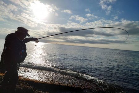 和歌山市江（吉丸渡船）でグレ釣り