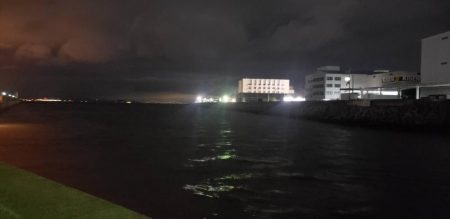 アジ探し@りんくう