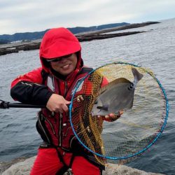 和歌山市江（吉丸渡船）でグレ釣り