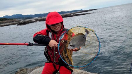 和歌山市江（吉丸渡船）でグレ釣り