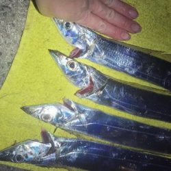 ついに釣り納め