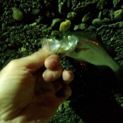 納まらなかったので