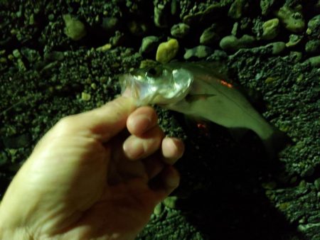 納まらなかったので