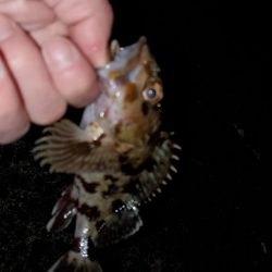 明けましておめでとうございます