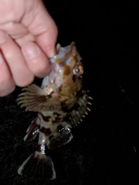 明けましておめでとうございます