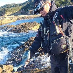 和歌山市江(吉丸渡船)でグレ釣り