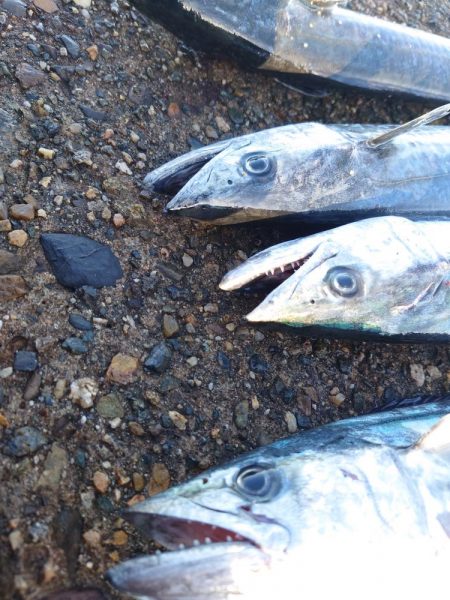 大荒れの次の日