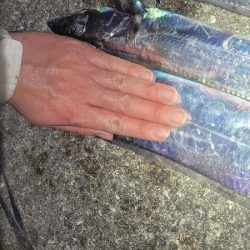 何かちょっと黄色い？？