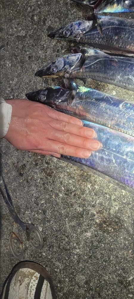 何かちょっと黄色い？？