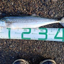 もう終わりかな?