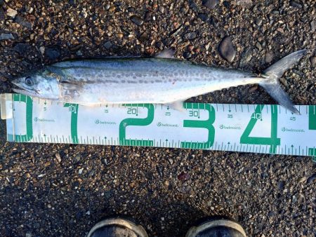 もう終わりかな?