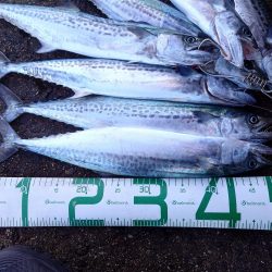 久しぶりのいい日だった