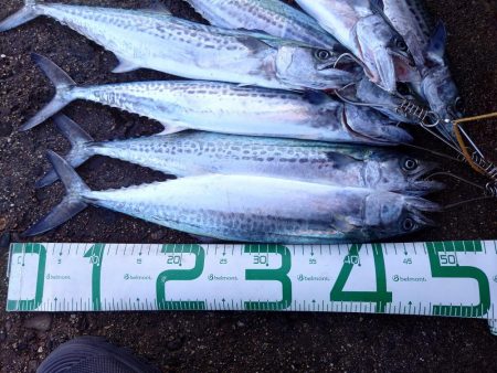 久しぶりのいい日だった