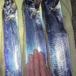 ふぐちゃんの猛攻から逃れて