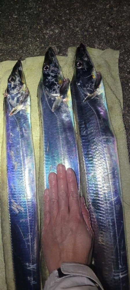 ふぐちゃんの猛攻から逃れて