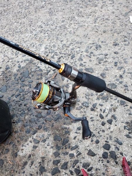 激渋　アジング