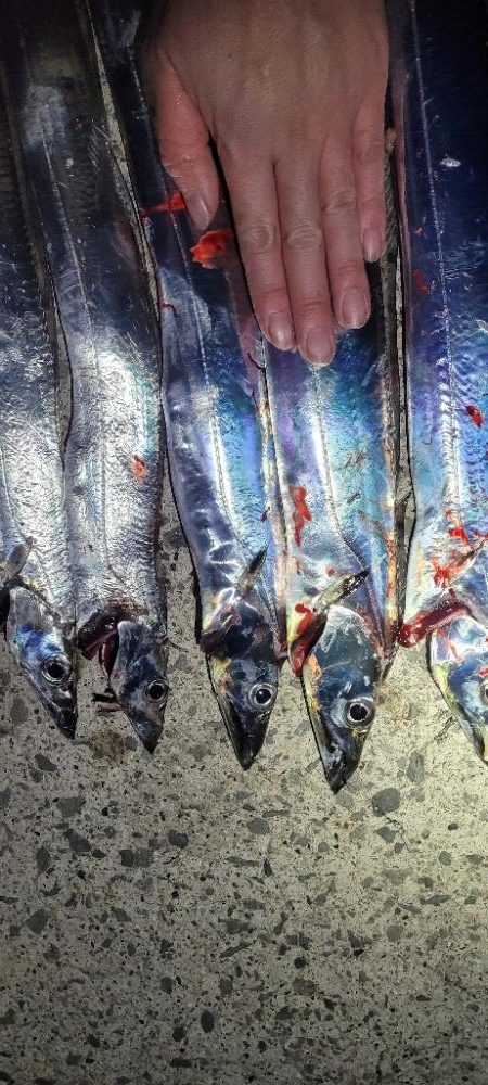 アタリはあるも散発的