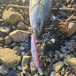 大時化夕方パターン