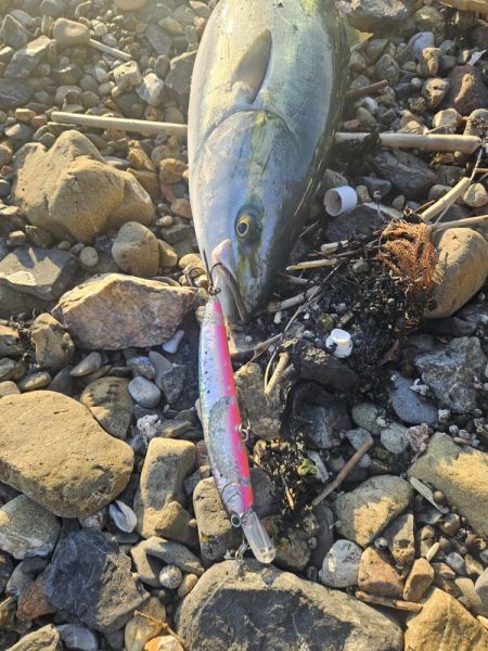 大時化夕方パターン