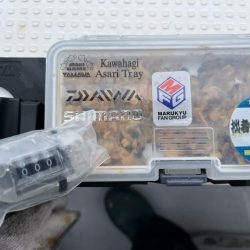 初の長崎カワハギは激シブでした