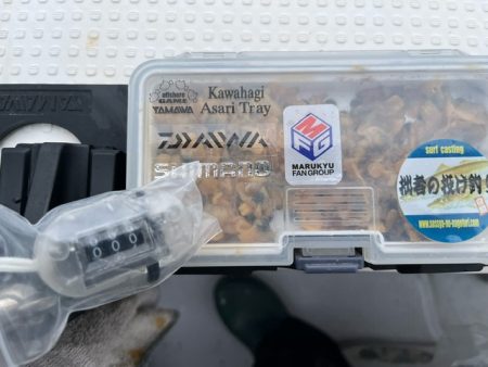 初の長崎カワハギは激シブでした