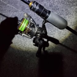 アジング 豆祭り