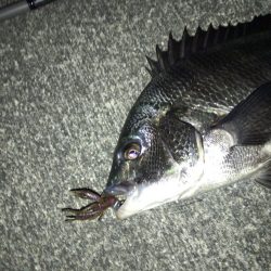 ワインドでマチヌゲット