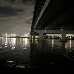 タモ入れ頑張りました