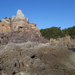 数は少なかったのですが…