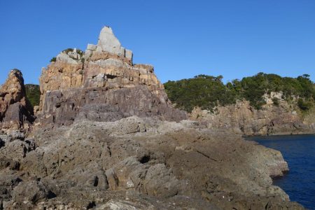 数は少なかったのですが…