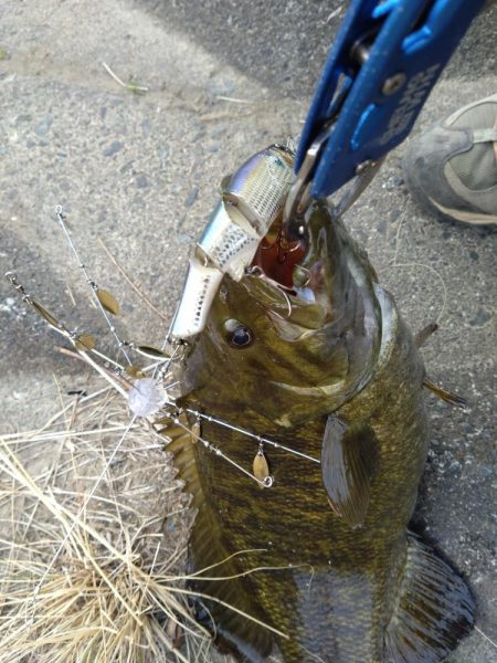 ハードアラバマで１本