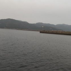 今年最後の釣行②