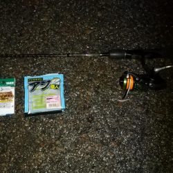 アジもそろそろ終わりなんかな～?!