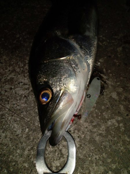 早朝のプチsalt water game😉