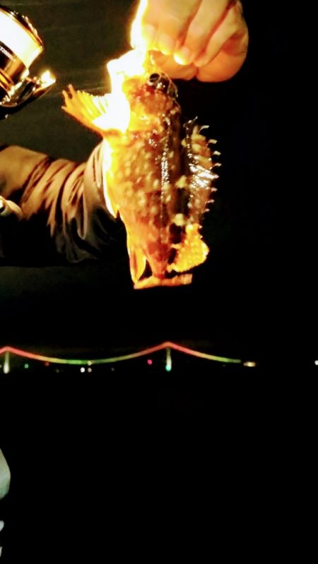 明姫より集いし林崎の夜！